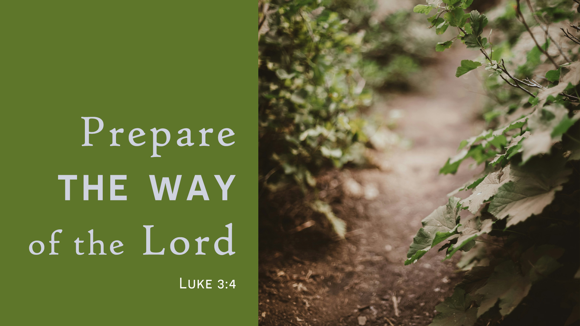 The 2nd Sunday of Advent Image