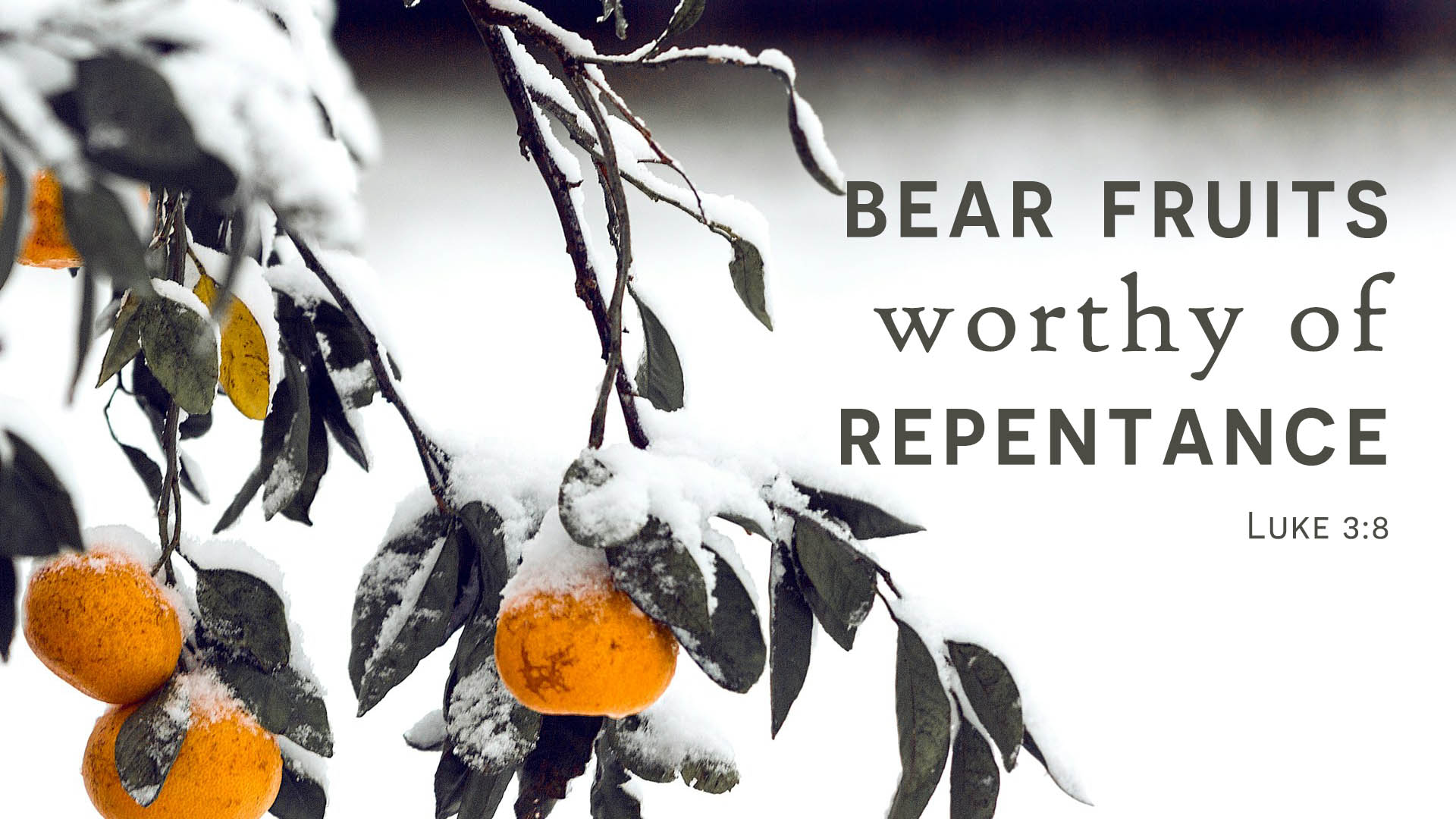 The 3rd Sunday of Advent Image
