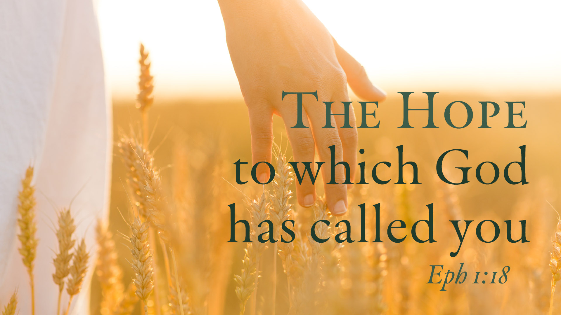 All Saints' Sunday Jazz Service Image