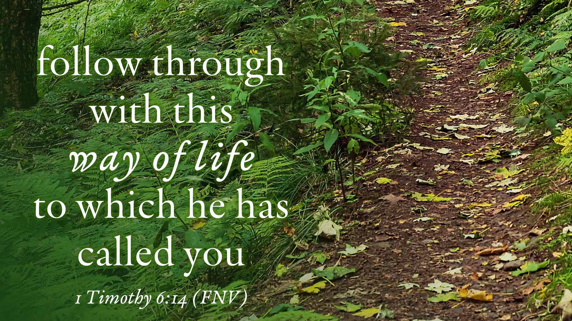 The 16th Sunday after Pentecost Image