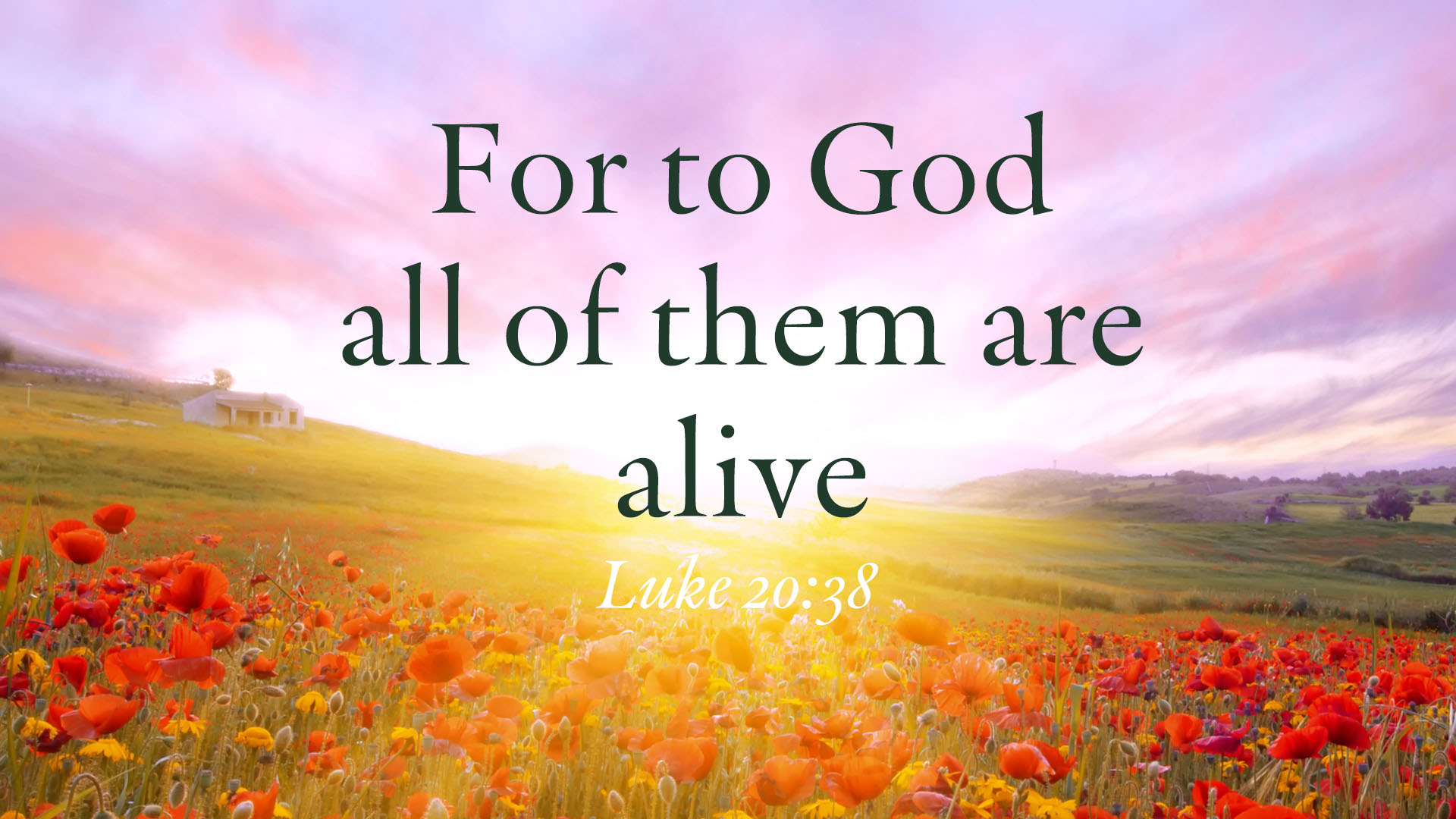 The Twenty-Second Sunday after Pentecost Image