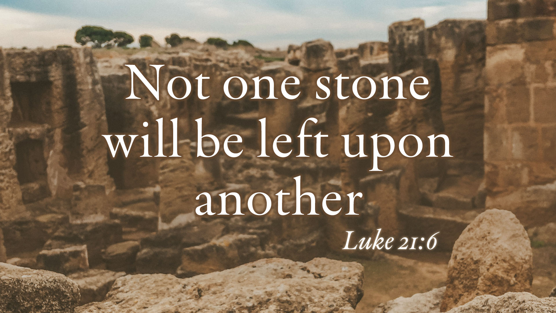 The 23rd Sunday after Pentecost Image