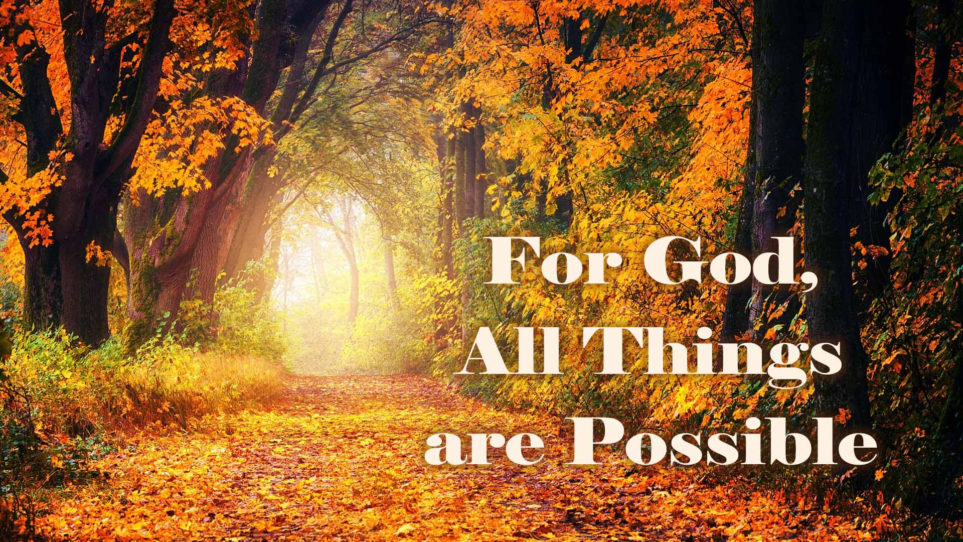 The 26th Sunday after Pentecost Image